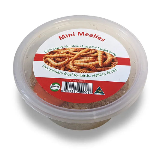 Mini Mealies Mealworms 25g Tub