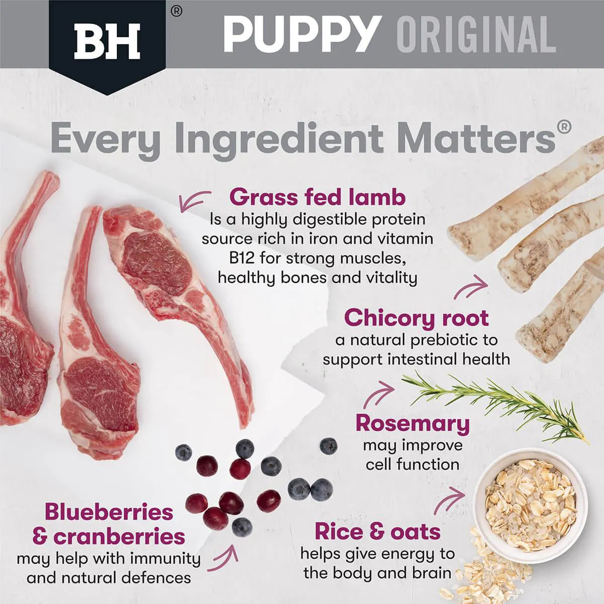 Black Hawk Puppy - Medium Breed Lamb & Rice