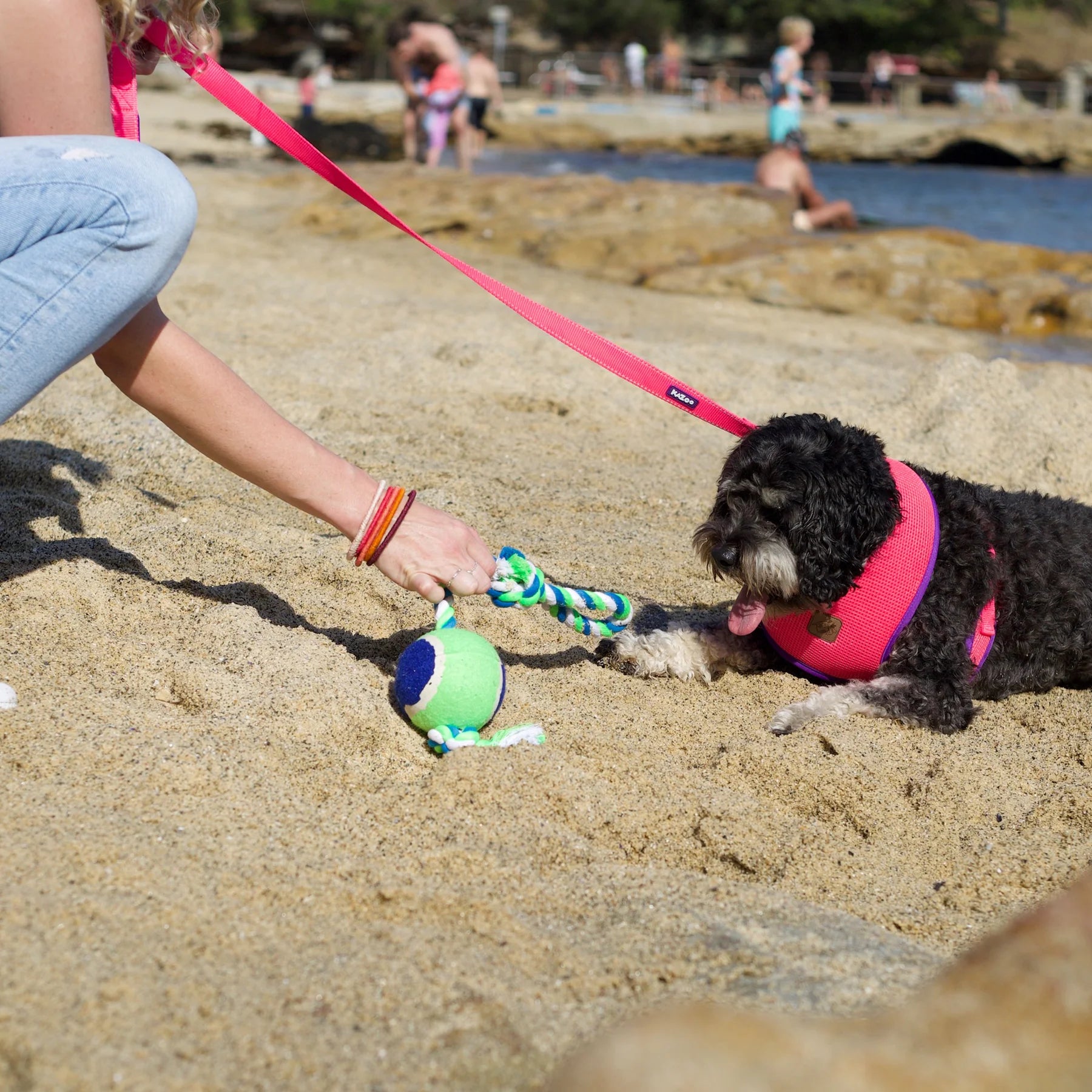 Twisted Rope Sling Tennis Ball Dog Toy