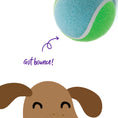 Load image into Gallery viewer, Puncture Proof Tennis Ball Dog Toy
