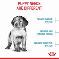 Load image into Gallery viewer, Royal Canin Medium Breed Puppy Food
