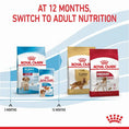 Load image into Gallery viewer, Royal Canin Medium Breed Puppy Food
