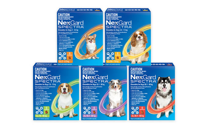 Nexgard Spectra for Dogs 15.1 - 30kg