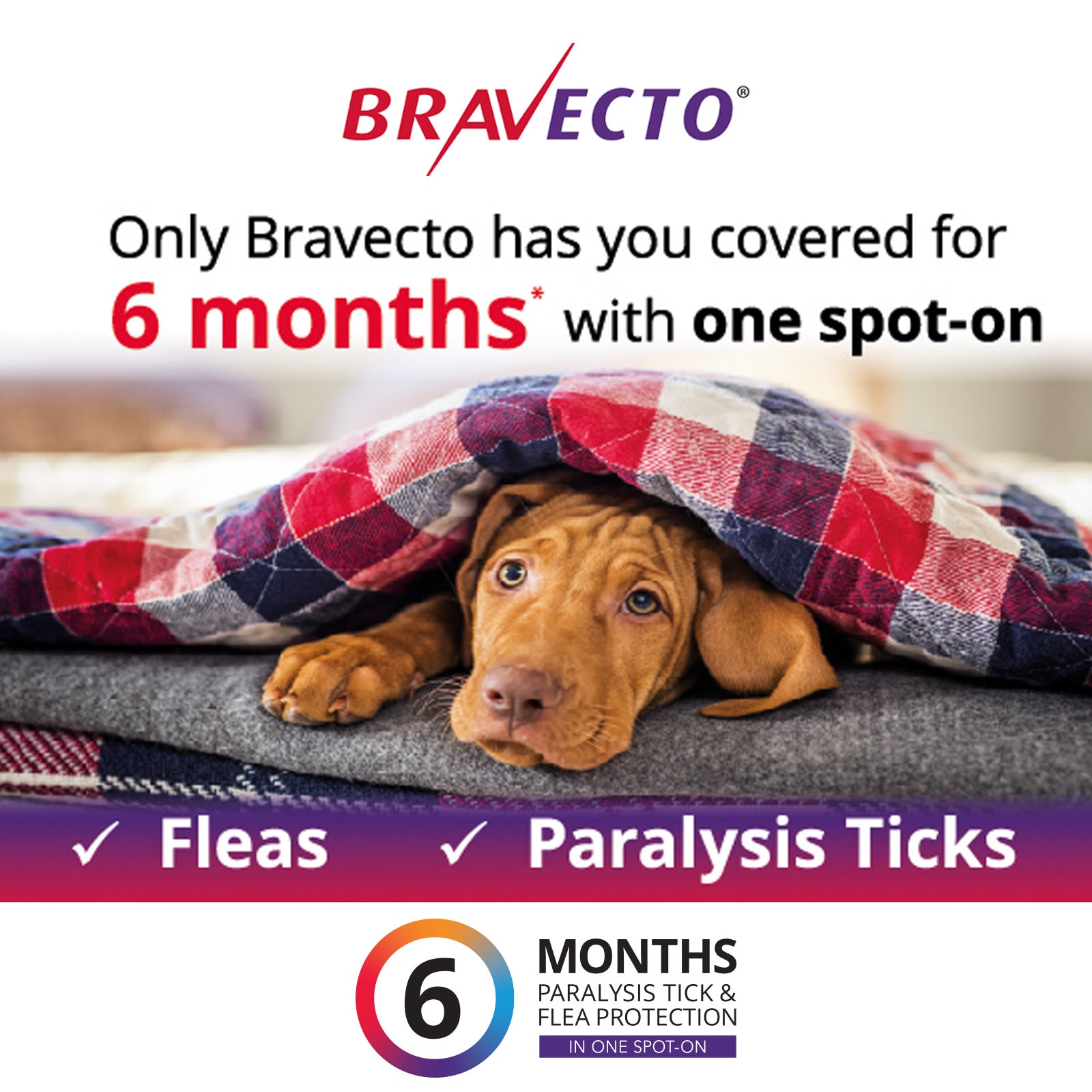 Bravecto Flea & Tick Spot-On For Large Dogs Blue