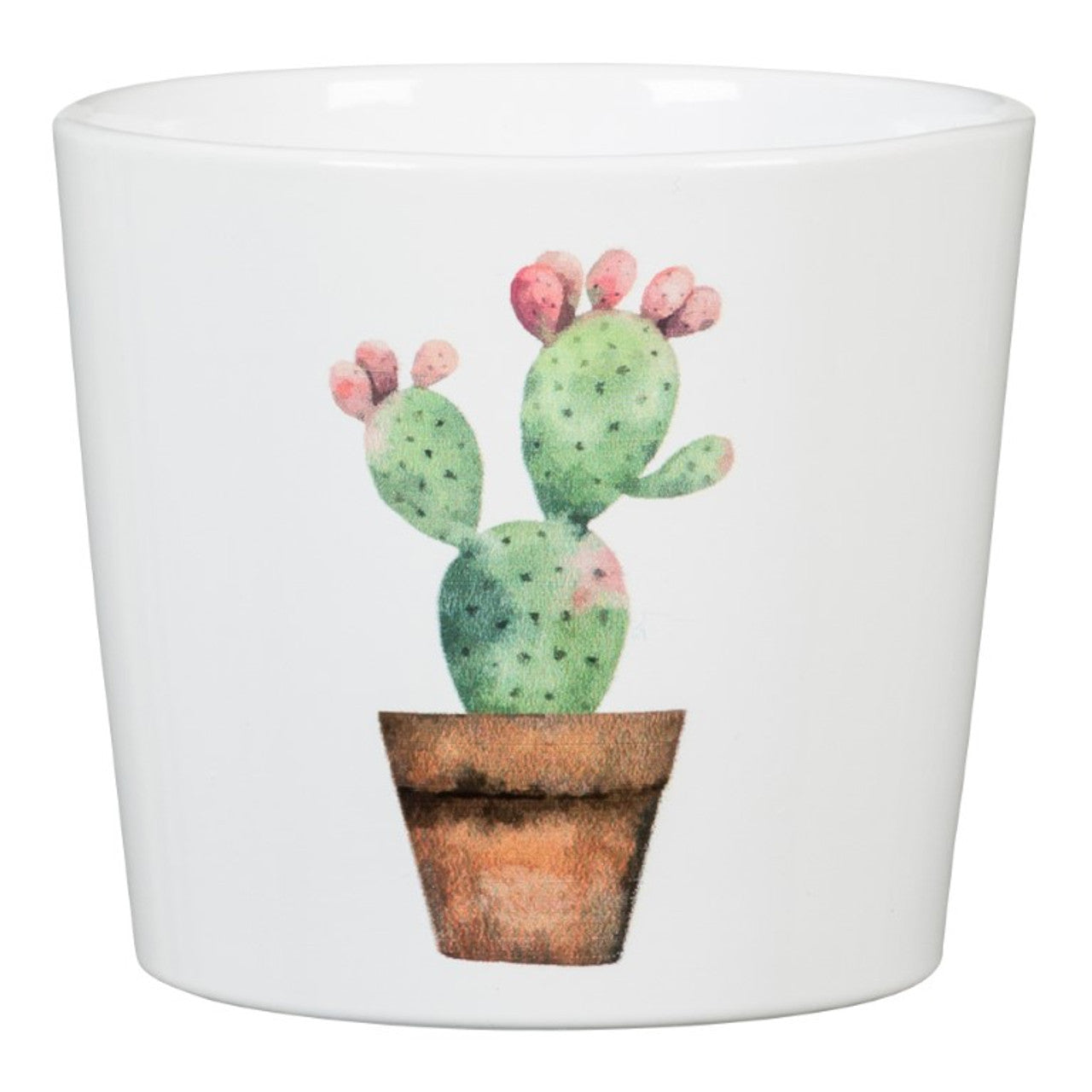 Scheurich Mini Cactus Pot (Assorted)