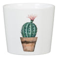 Load image into Gallery viewer, Scheurich Mini Cactus Pot (Assorted)
