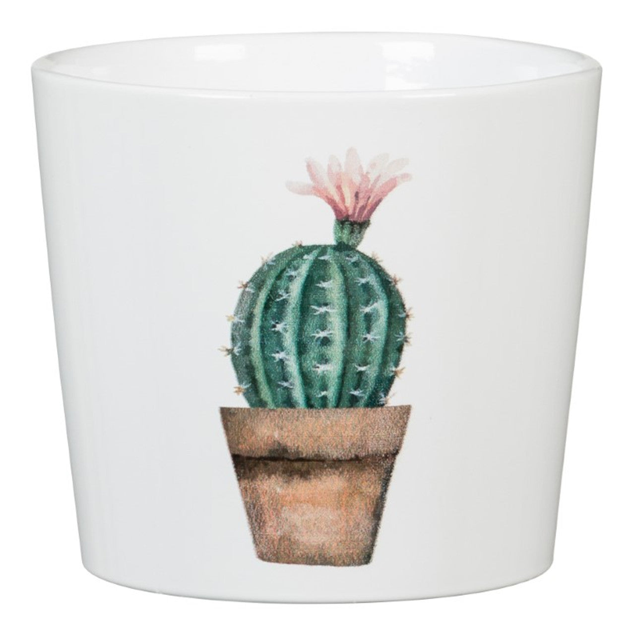 Scheurich Mini Cactus Pot (Assorted)