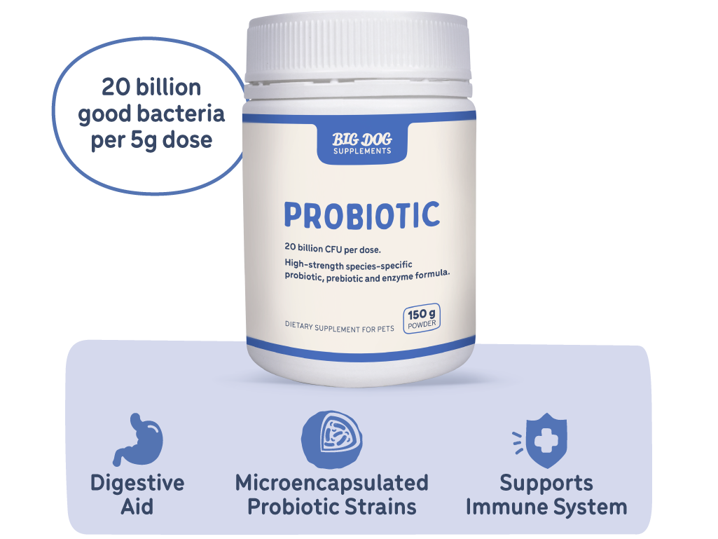 BigDog Natural Probiotics for Pets