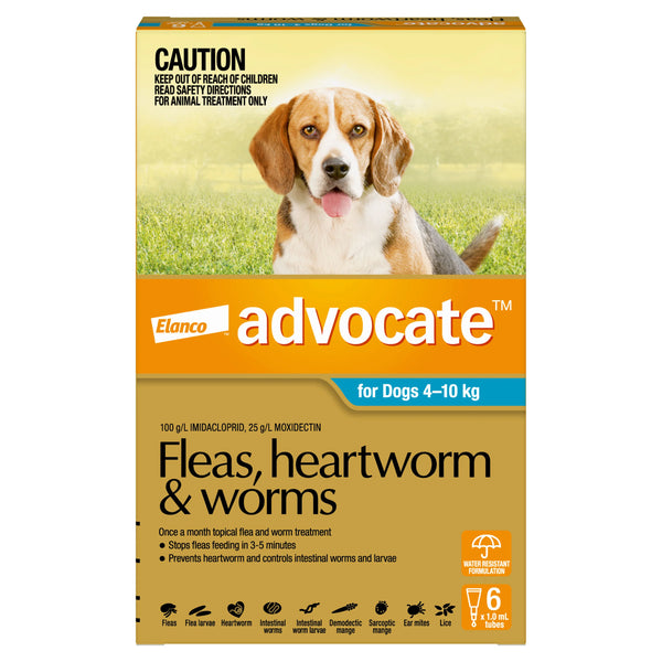 Advocate Teal for Medium Dog - 4-10kg