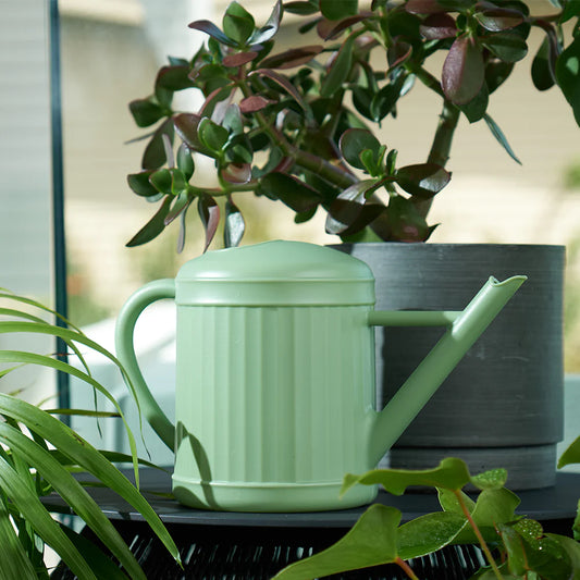 Watering Can - Sage - 2 Litre