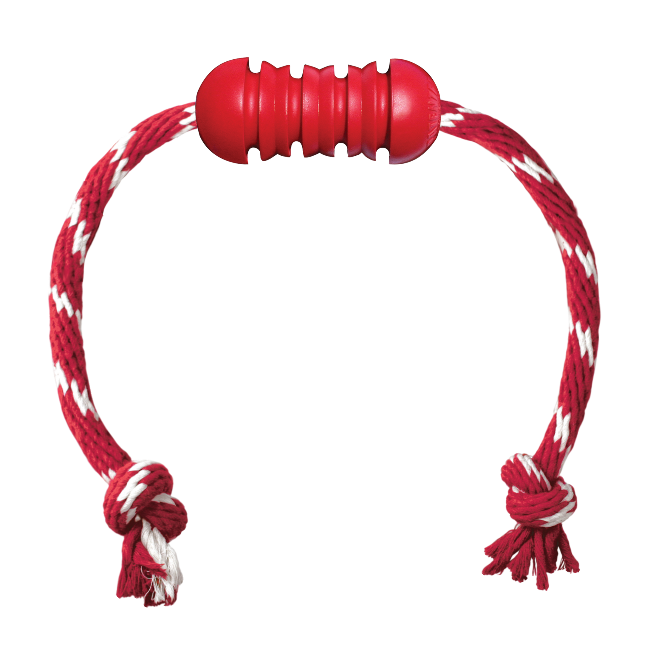 KONG® Dental w/Rope