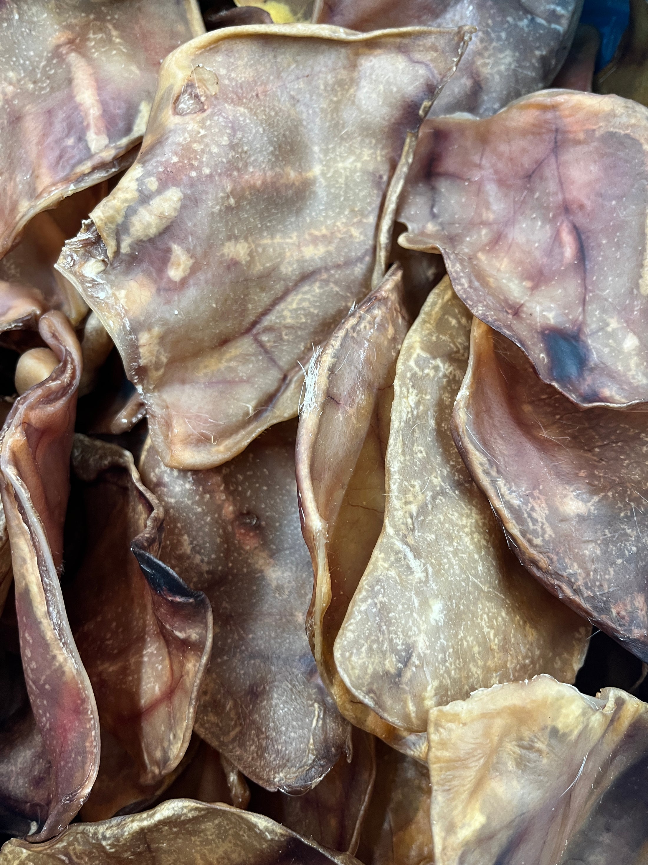 Pigs Ears