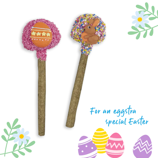 Kazoo - Easter Cake Pop - Assorted