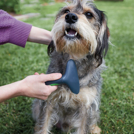 Kazoo - Grooming Rake