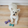 Load image into Gallery viewer, Puppy Teether Dog Toy
