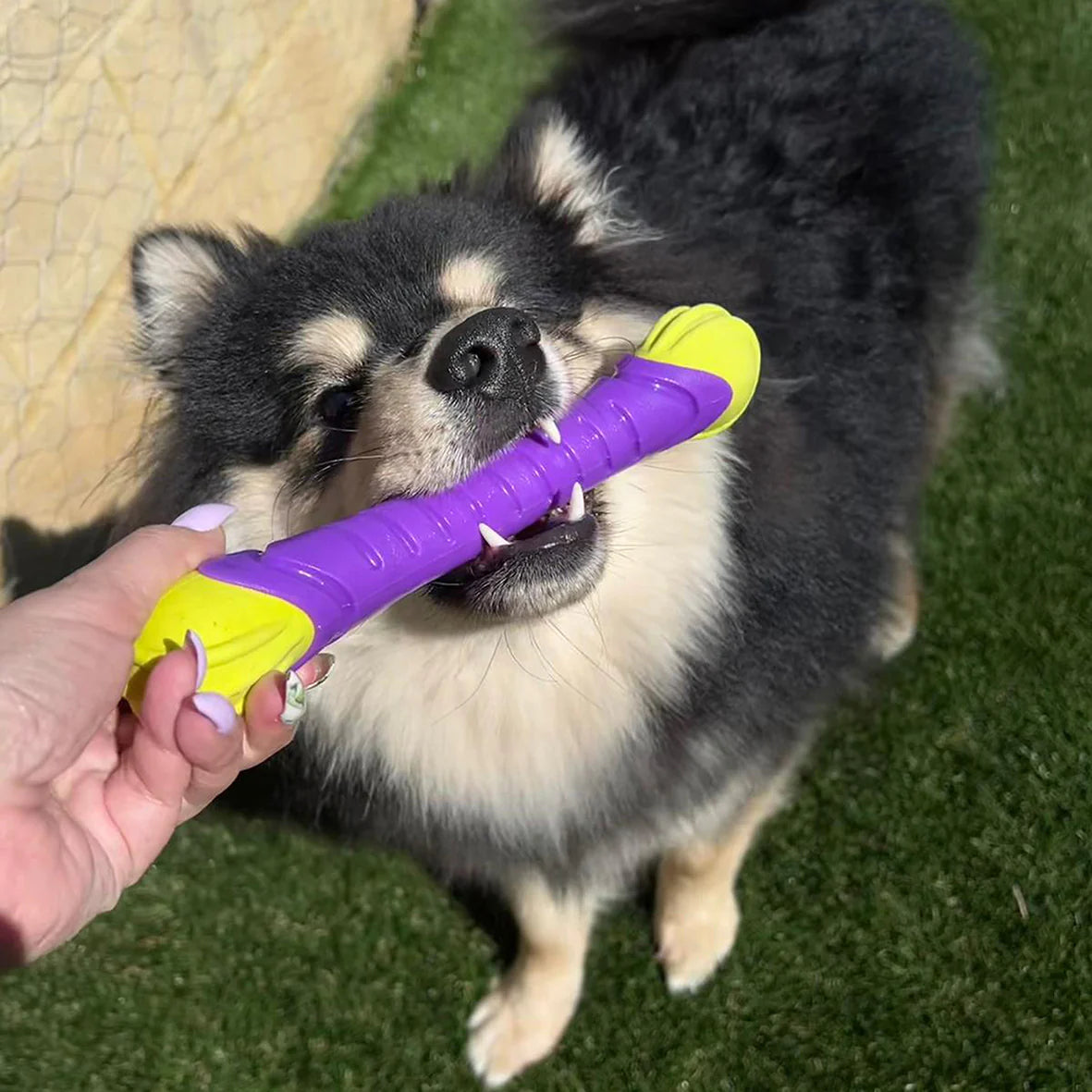 Extreme Play Dog Chew Stick - Medium