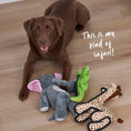 Load image into Gallery viewer, Furries - Tough Giraffe Dog Toy
