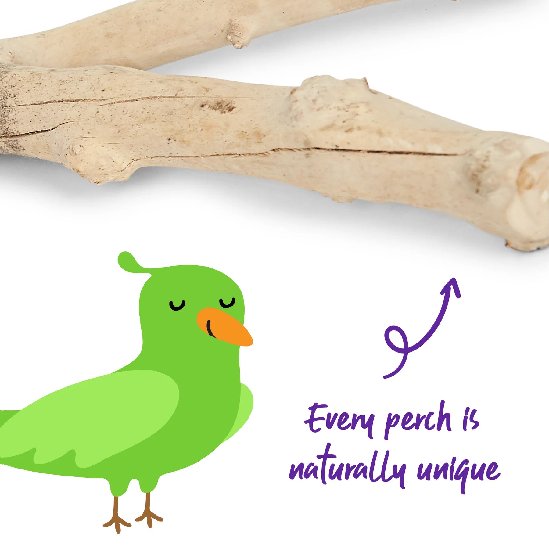 Kazoo - Natural Branch Perch