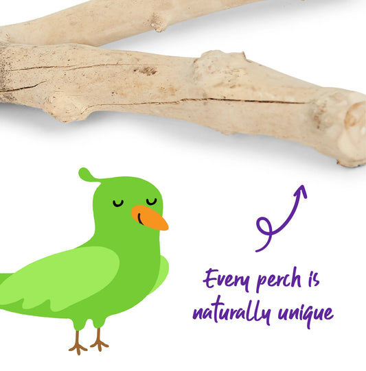 Kazoo - Natural Branch Perch