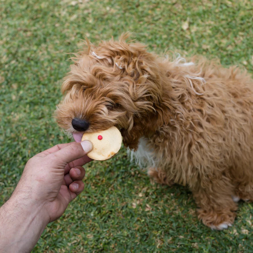 Barney's Barkery - Dog Pawty Meat Pie