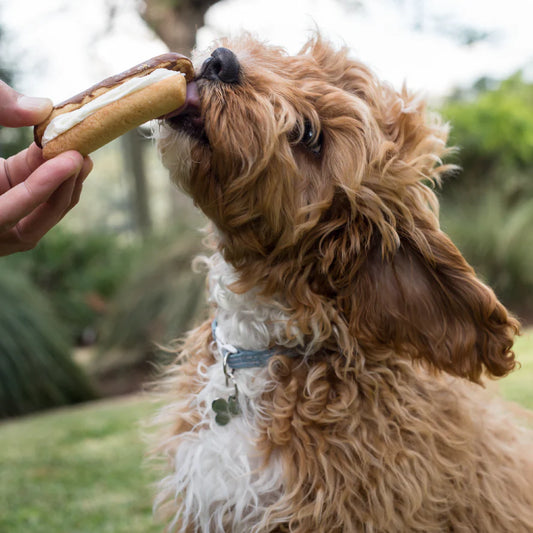 Barney's Barkery - Dog Carob Eclair