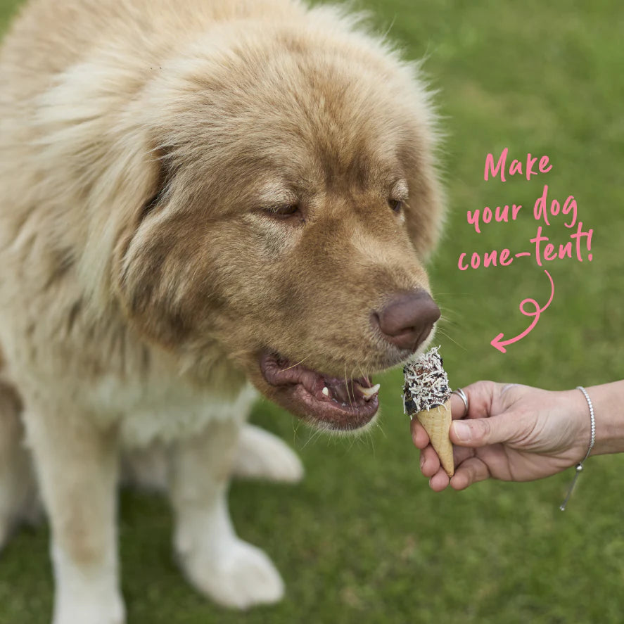 Barney's Barkery - Protein Cone - Liver