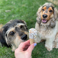 Load image into Gallery viewer, Barney's Barkery - Protein Cone - Chicken
