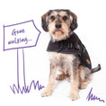 Load image into Gallery viewer, Adventure Dog Coat - Black
