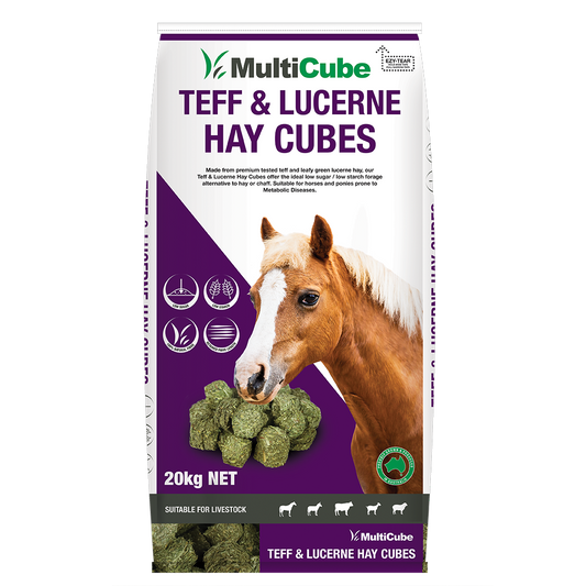 MultiCube - Teff & Lucerne Hay Cubes