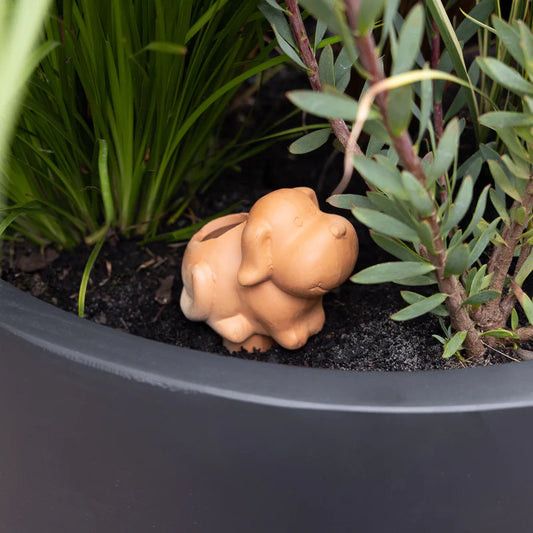 Terracotta Self Watering Animal