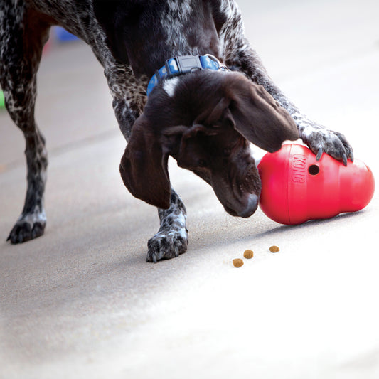 KONG Dog Wobbler