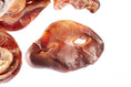 Load image into Gallery viewer, Clear Dog Treats - Pig Snouts
