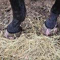 Load image into Gallery viewer, Beeswax PINK Balls - Hoof Putty for Thrush management
