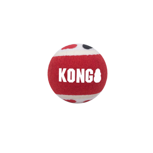 KONG - Signature Balls Assorted