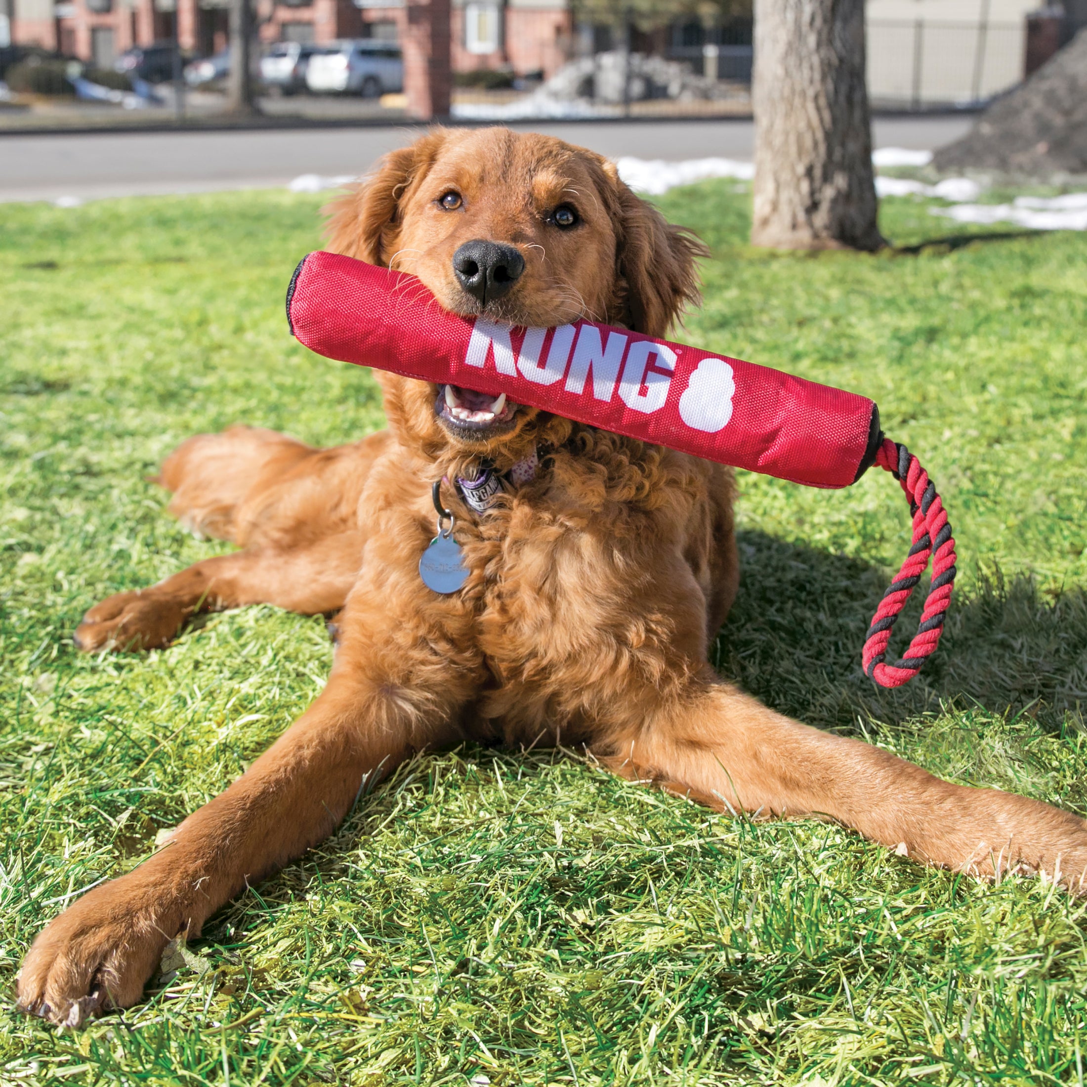 KONG - Signature Stick w/Rope