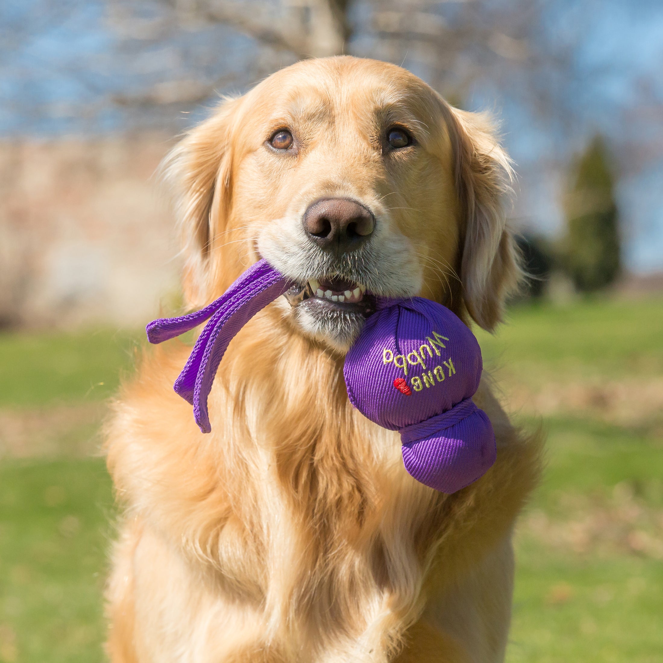 Kong Wubba Interactive Tug with squeaker