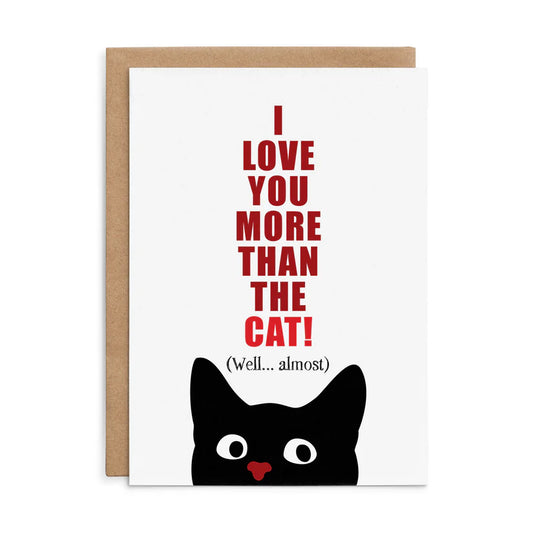 Defamations - I love you more than the cat