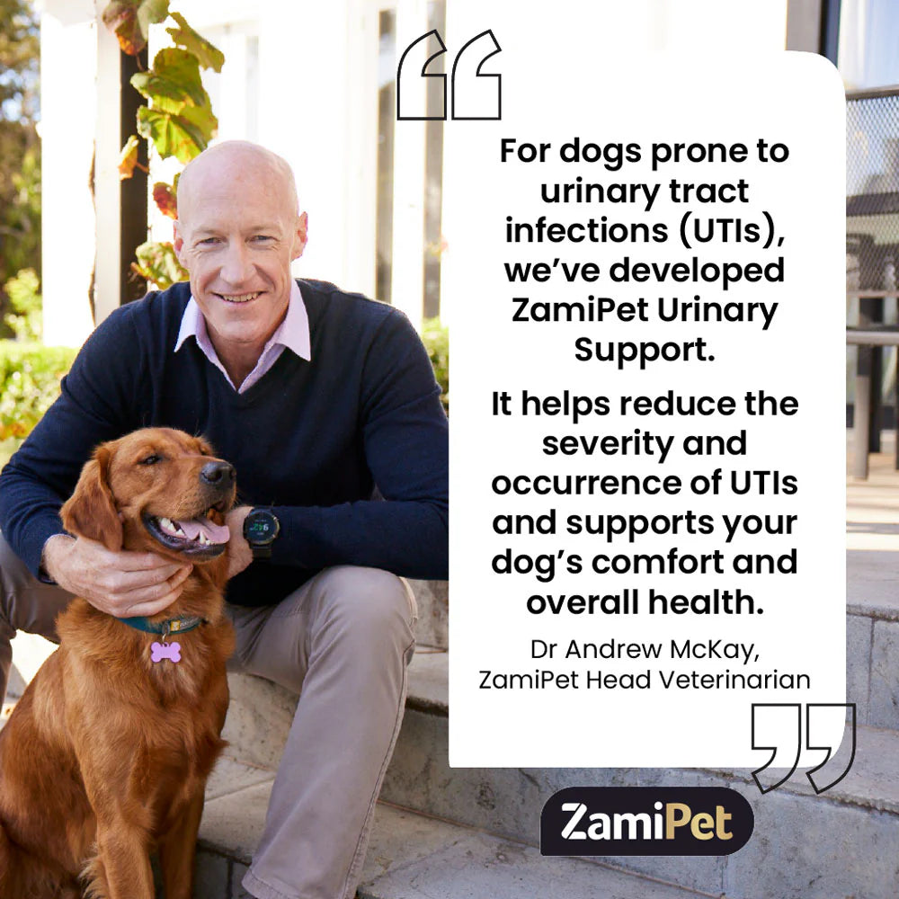 ZamiPet Urinary Support for Dogs