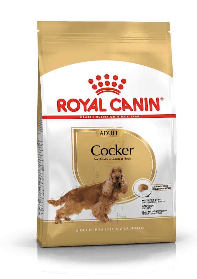 Royal Canin Cocker Spaniel Adult