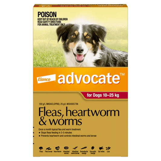 Advocate Red for Large Dog - 10-25kg (6pk)