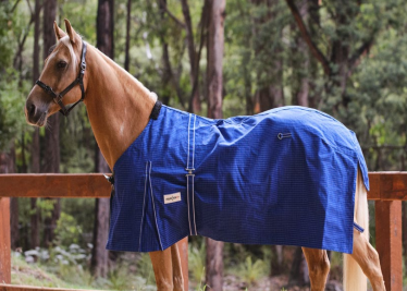 Eureka  - Unlined Blue Canvas Rug