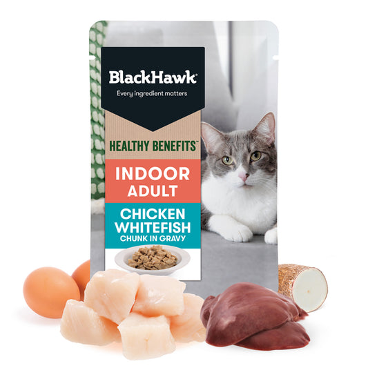 Black Hawk Cat - Healthy Benefits Indoor 85g 12 Pack