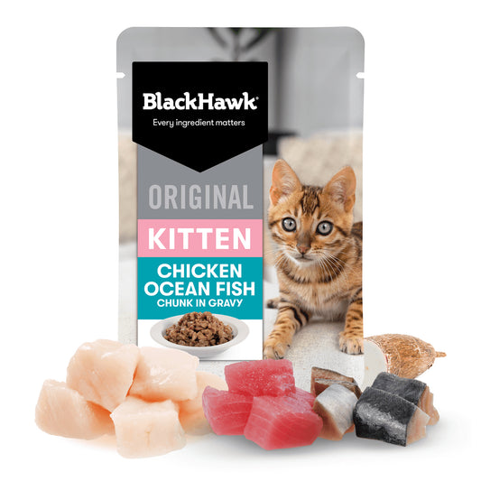 Black Hawk Kitten - Chicken & Ocean Fish 85g 12 Pack
