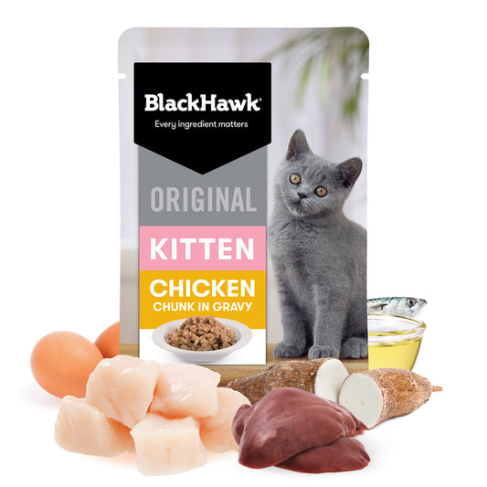 Black Hawk Kitten - Chicken in Gravy 85g 12 Pack
