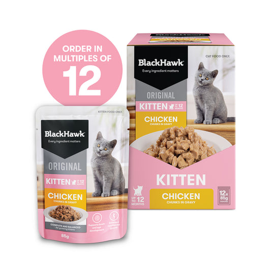 Black Hawk Kitten - Chicken in Gravy 85g 12 Pack