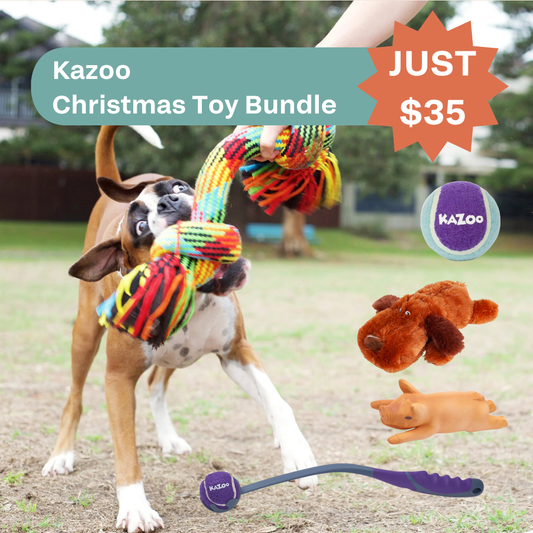 Kazoo Christmas Doggo Bundle