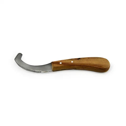 Bainbridge Bot Egg Knife