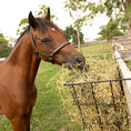 Load image into Gallery viewer, Bainbridge - Hanging Fence Wire Hay Feeder
