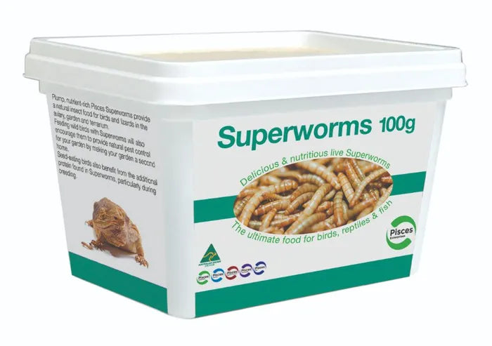 Superworms 100g Tub