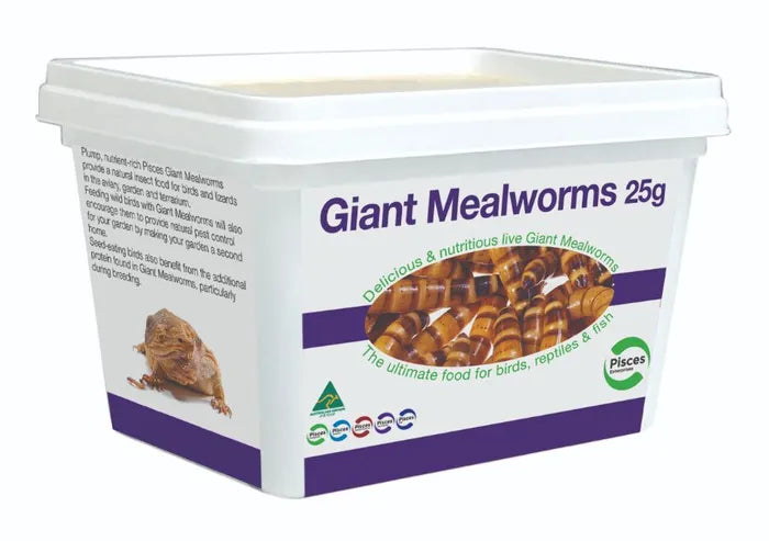 Giant Mealworms - 25G Tub